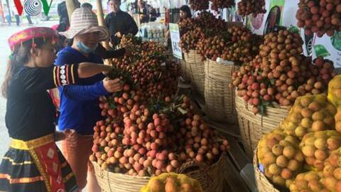 Khai mạc Tuần lễ vải thiều Lục Ngạn-Bắc Giang tại Hà Nội