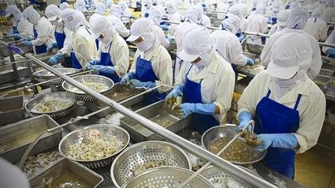 Cần xây dựng thương hiệu tôm Việt Nam