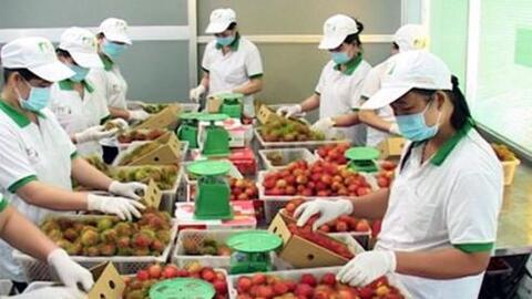 Tiêu chuẩn hàng hóa của Việt Nam vẫn thấp xa so với thế giới