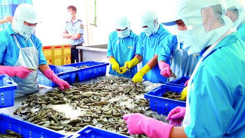 Hiệp định FTA Việt Nam - EU: Rộng cửa xuất khẩu cho thủy sản Việt Nam vào EU