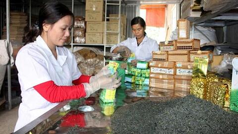 Tăng sức cạnh tranh và giá bán cho chè Việt