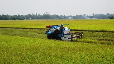 Xuất khẩu gạo: Mục tiêu nhiều nhưng... quên chuyện quan trọng nhất!