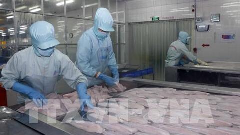 Doanh nghiệp Việt và câu chuyện rào cản thương mại: Bị động trong tự vệ
