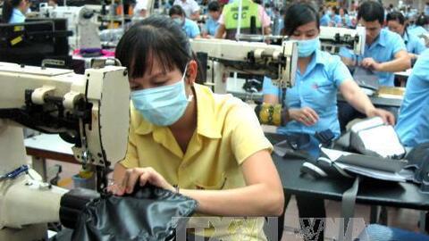 Tăng sức cạnh tranh cho thương hiệu Việt Nam tại thị trường Hàn Quốc