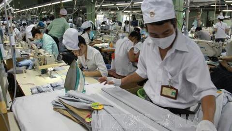 Tạo tiền đề cho xuất khẩu bền vững