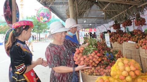 Sản phẩm nông nghiệp có thương hiệu, nhiều bên cùng có lợi