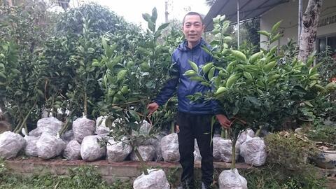 Đưa nông sản lên "thế giới phẳng", nông dân bán hàng khắp cả nước