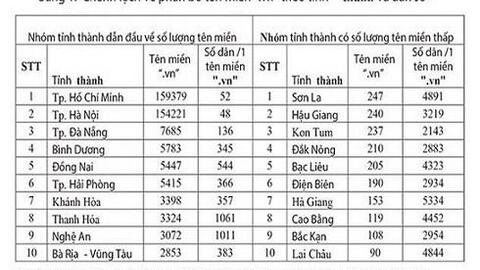 Thương mại điện tử Việt Nam có thể đạt 10 tỷ USD 4 năm tới