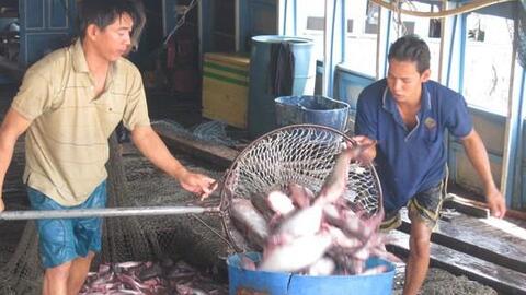 Trung Quốc ồ ạt nhập khẩu hàng từ Việt Nam