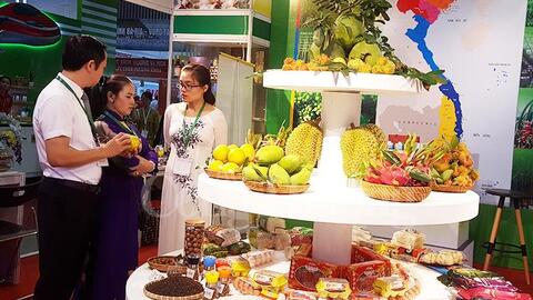 Tiếp cận thị trường Trung Quốc qua kênh CIIE 2018