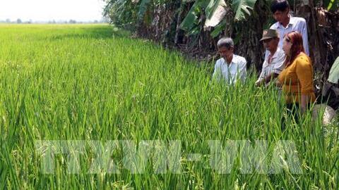 Kiên Giang nâng cao năng lực cạnh tranh các mặt hàng xuất khẩu