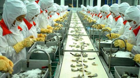 Bài toán khó với xuất khẩu nông - lâm - thủy sản sang Hoa Kỳ