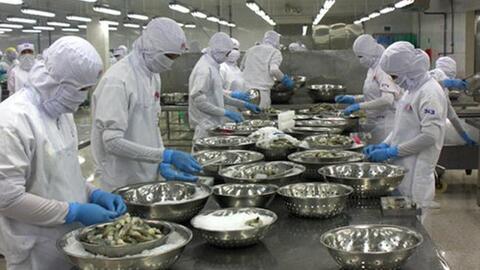 Nguy cơ đánh sập một ngành hàng