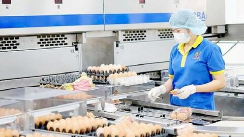 Nông sản Việt Nam: Áp dụng chuẩn chất lượng để từng bước đáp ứng chuẩn hội nhập