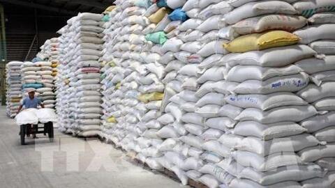 Xuất khẩu gạo đối mặt với áp lực cạnh tranh về giá