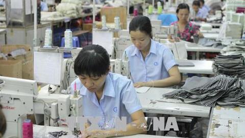 Dệt may Việt Nam duy trì mức tăng trưởng tại các thị trường truyền thống