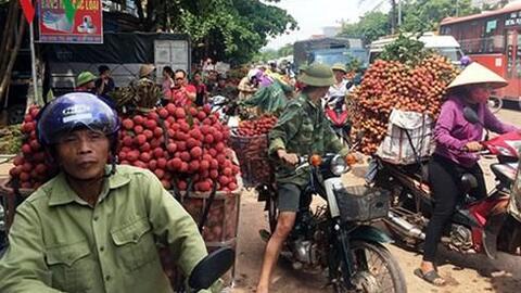 Bắc Giang tạo thuận lợi cho thương nhân mua vải thiều