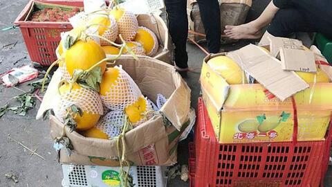 Dưa lưới, dưa vàng Trung Quốc gắn mác hàng Việt Nam đổ bộ các chợ đầu mối
