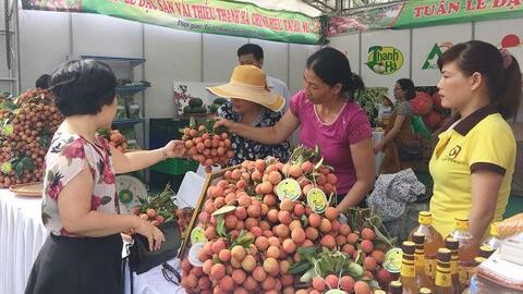 Bộ Công Thương: Kết nối cung - cầu, tìm đầu ra ổn định cho nông sản