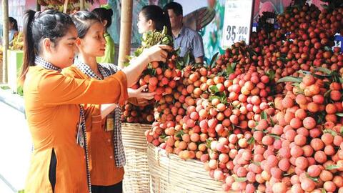 Nông sản Việt: Đừng lãng phí chỉ dẫn địa lý
