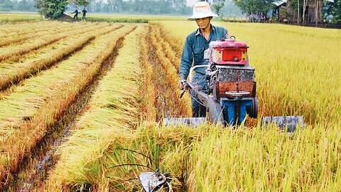 Giải mã xu hướng lựa chọn vật tư nông nghiệp của nông dân Việt Nam