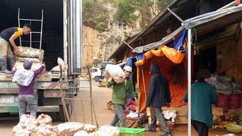 Nông sản Đà Lạt bị nông sản Trung Quốc lấn ép ngay trên sân nhà
