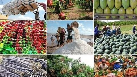 Nông nghiệp số là đòn bẩy gia tăng giá trị nông sản