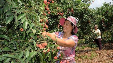 Phát triển thương hiệu đặc sản địa phương