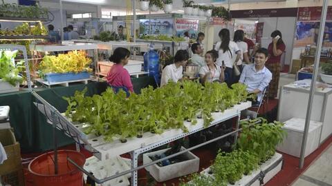 Doanh nghiệp muốn phát triển bền vững: Phải đi theo hướng nào?