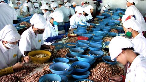 Gỡ rào cản xuất khẩu nông sản