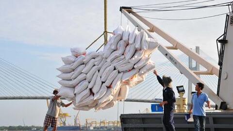 Vì sao xuất khẩu gạo sang Trung Quốc sụt giảm đột ngột?