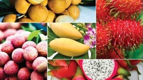 Nông sản Việt vẫn “loay hoay” với chuyện thương hiệu