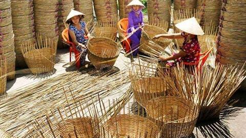 Khó khăn khi đưa tre Việt xuất khẩu nước ngoài