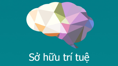 Quyền sở hữu trí tuệ nên được quan tâm hơn