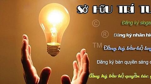 Xây dựng Luật sửa đổi, bổ sung Luật Sở hữu trí tuệ