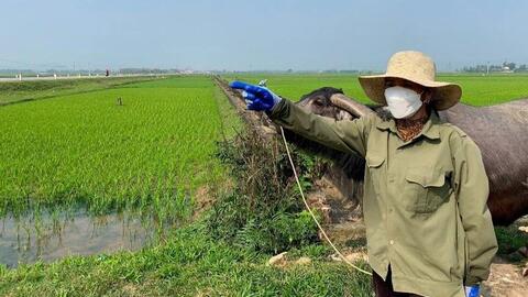 Chuyên gia cảnh báo "mua dễ khó bán" khi giá bất động sản tăng vù vù