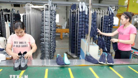 Doanh nghiệp châu Âu lạc quan vào tiềm năng tăng trưởng dài hạn của Việt Nam