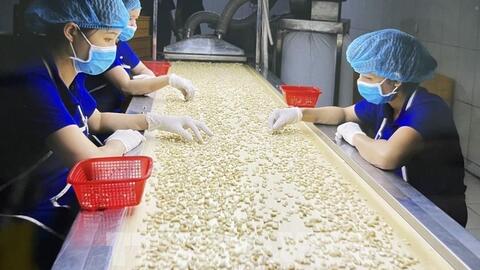 Xúc tiến mở rộng thị trường mới xuất khẩu hạt điều