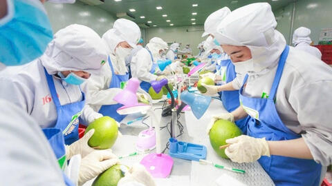 Giải pháp trọng tâm mở cửa thị trường nông sản