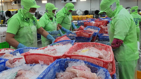 Xuất hiện thị trường trọng điểm mới của cá tra Việt