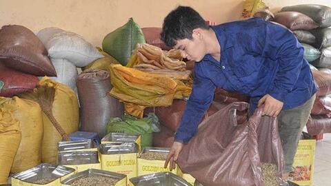 Lao đao vì tiếng oan “sản xuất cà phê giả, bẩn”