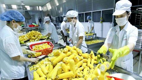 Nợ xấu, chứng khoán, bất động sản: Những lưu ý cho năm 2022
