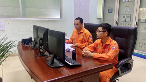Công ty cổ phần Phát triển Điện lực Việt Nam hướng vào các dự án năng lượng tái tạo