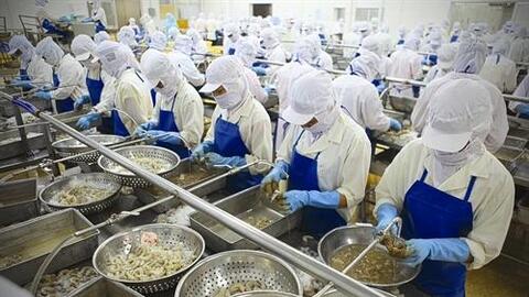 Cần xây dựng thương hiệu tôm Việt Nam