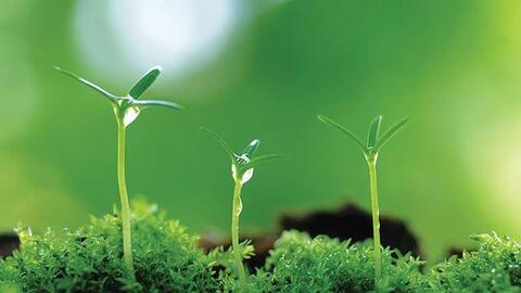 Xu hướng tiêu dùng xanh: Vượt thách thức, đón cơ hội