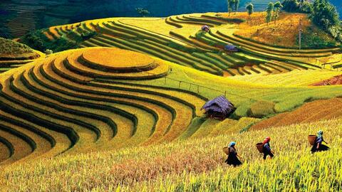 Xúc tiến quảng bá du lịch Lào Cai: Khi công nghệ số song hành cùng hợp tác