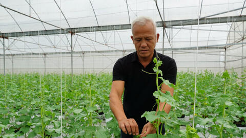 Hưng Yên: Đa dạng sản phẩm OCOP tạo cơ hội bứt phá phát triển nông thôn mới