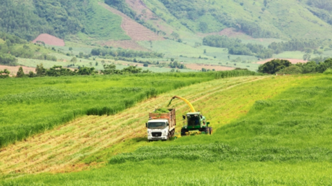 Từ nông nghiệp đến năng lượng: Từng bước hiện thực hóa cam kết Net Zero