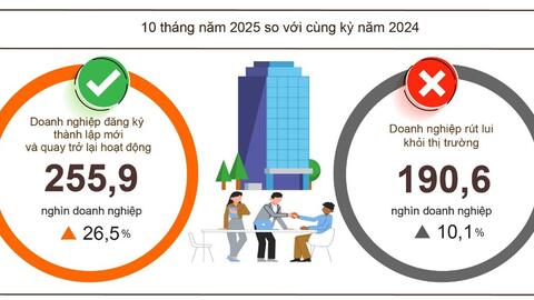 10 tháng, cả nước có 162,9 nghìn doanh nghiệp "khai sinh"