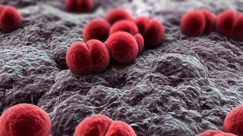 Ghi nhận ca mắc não mô cầu, Hà Nội khuyến cáo phòng dịch bệnh truyền nhiễm nguy hiểm